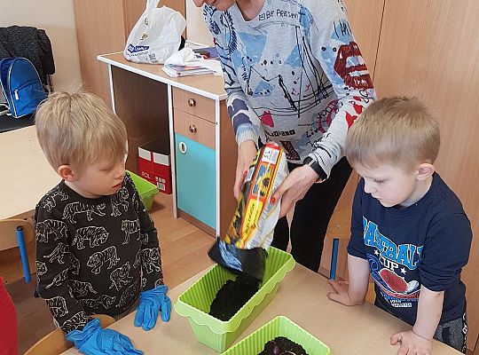 Gr. II Zakładamy wiosenne hodowle