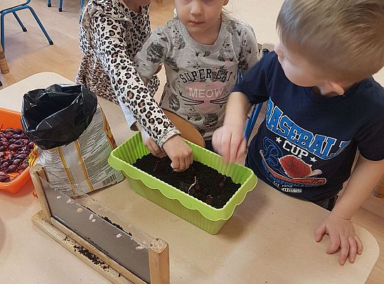 Gr. II Zakładamy wiosenne hodowle