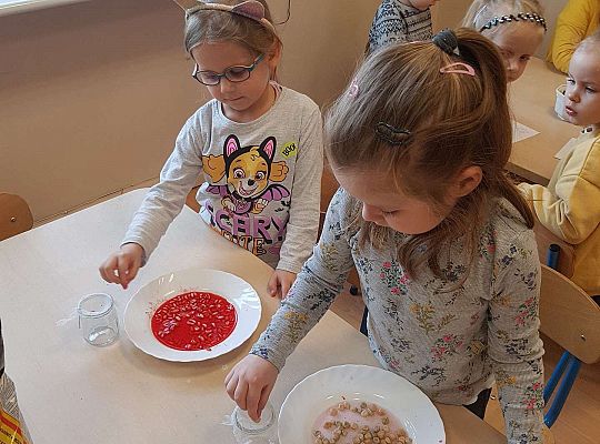 Gr. II Zakładamy wiosenne hodowle