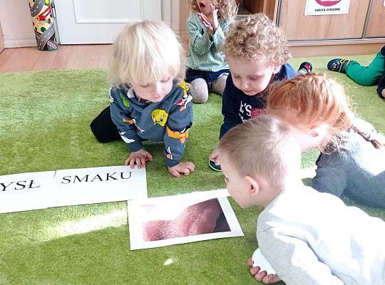 Gr. I Projekt "Gramy Zmysłami" - SMAK