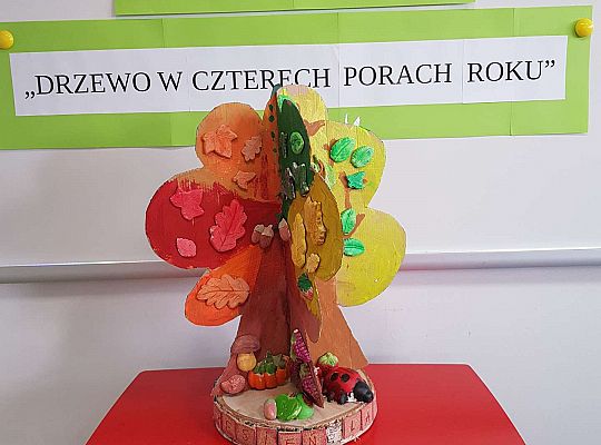 Konkurs "Drzewo w czterech porach roku"