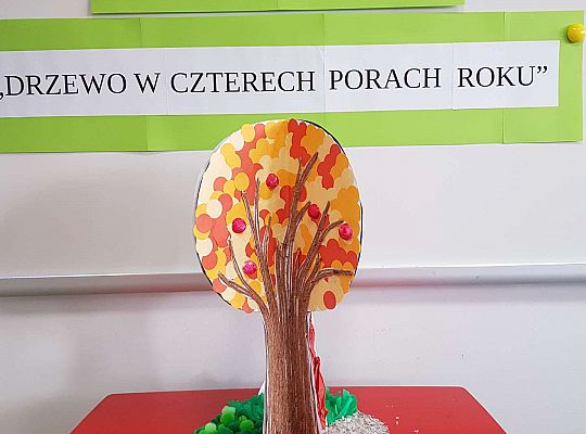 Konkurs "Drzewo w czterech porach roku"
