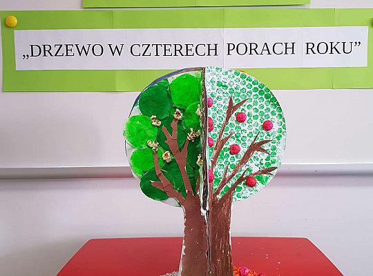 Konkurs "Drzewo w czterech porach roku"