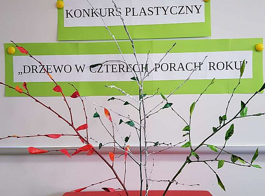 Konkurs "Drzewo w czterech porach roku"