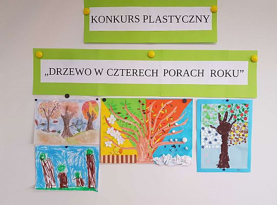 Konkurs "Drzewo w czterech porach roku"
