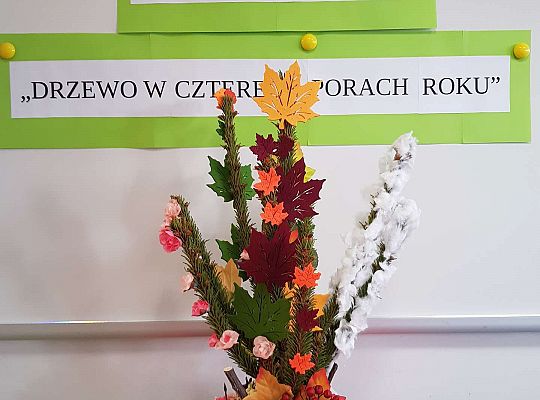 Konkurs "Drzewo w czterech porach roku"