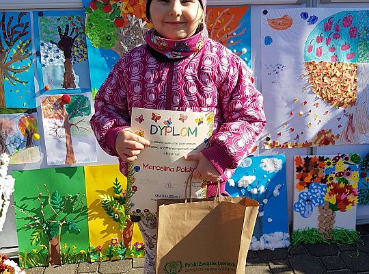 Konkurs "Drzewo w czterech porach roku"