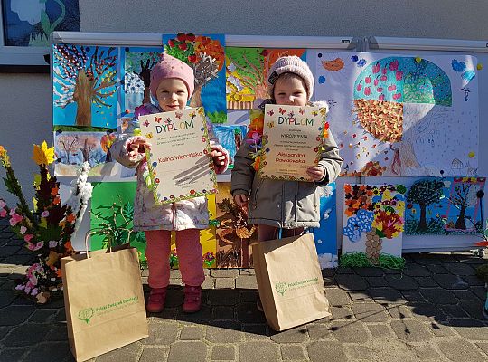 Konkurs "Drzewo w czterech porach roku"