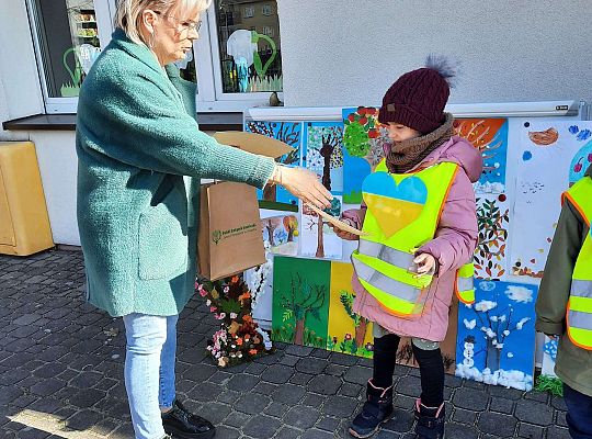 Konkurs "Drzewo w czterech porach roku"