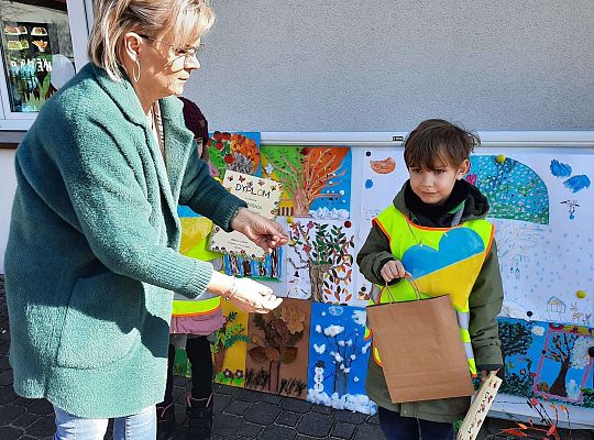 Konkurs "Drzewo w czterech porach roku"