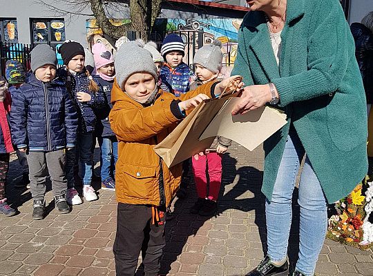 Konkurs "Drzewo w czterech porach roku"