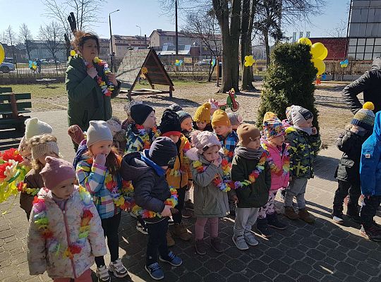 Konkurs "Drzewo w czterech porach roku"