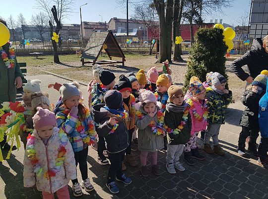 Konkurs "Drzewo w czterech porach roku"