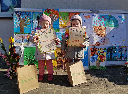 Konkurs "Drzewo w czterech porach roku"