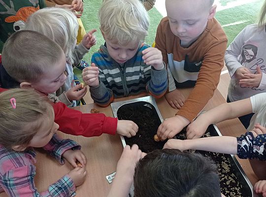 Gr. I Wiosenne przygody