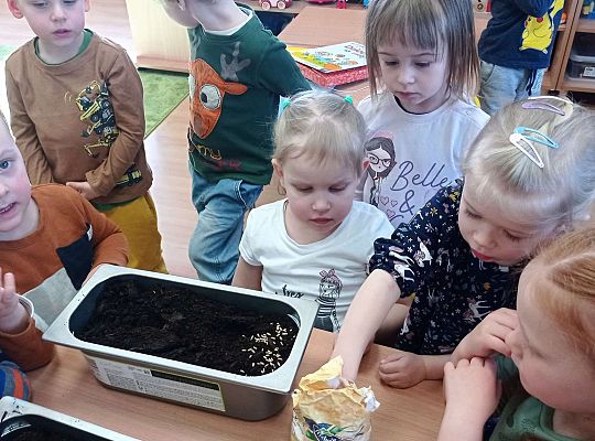 Gr. I Wiosenne przygody