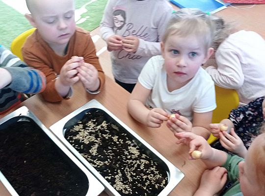 Gr. I Wiosenne przygody