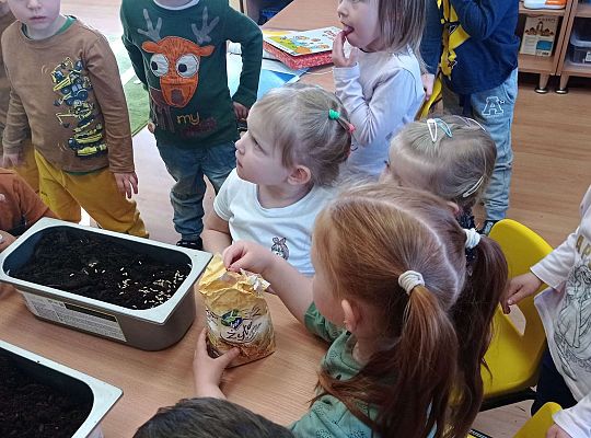 Gr. I Wiosenne przygody