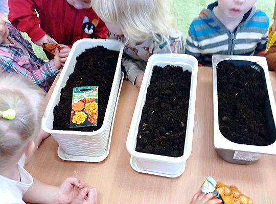 Gr. I Wiosenne przygody