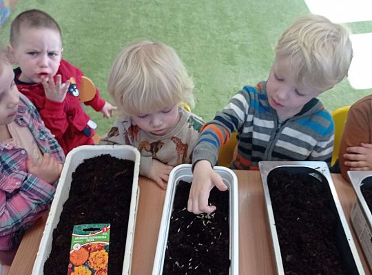 Gr. I Wiosenne przygody