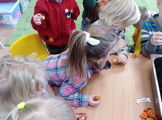 Gr. I Wiosenne przygody