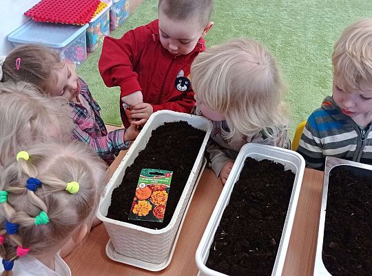 Gr. I Wiosenne przygody