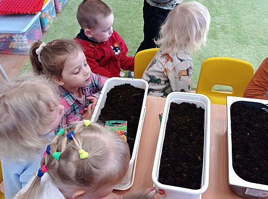 Gr. I Wiosenne przygody