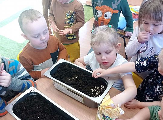 Gr. I Wiosenne przygody