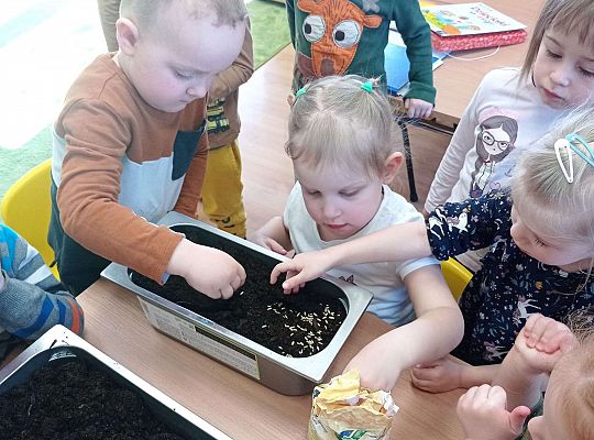 Gr. I Wiosenne przygody