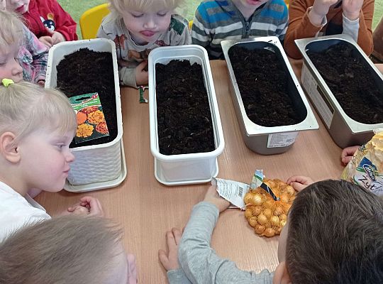 Gr. I Wiosenne przygody