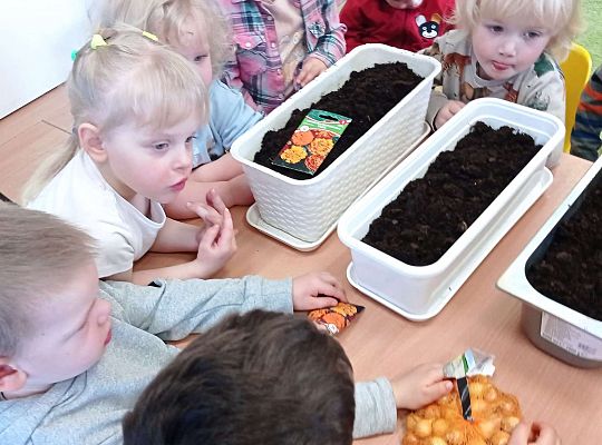 Gr. I Wiosenne przygody