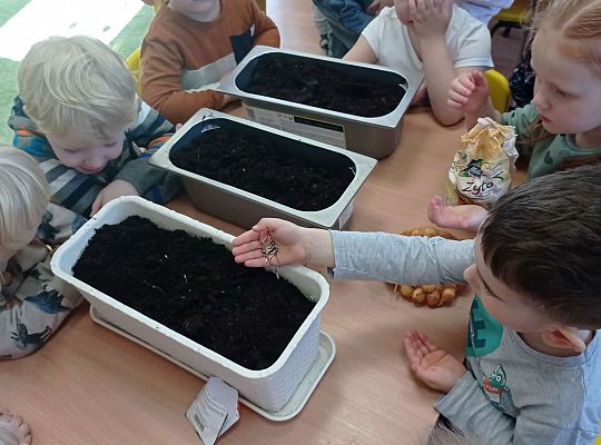 Gr. I Wiosenne przygody