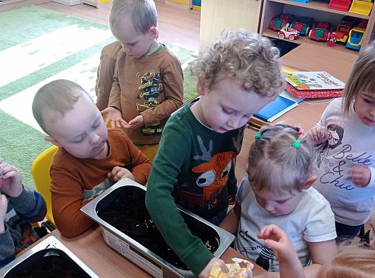 Gr. I Wiosenne przygody