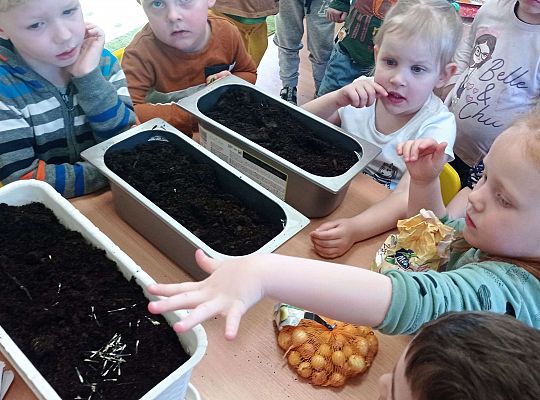 Gr. I Wiosenne przygody