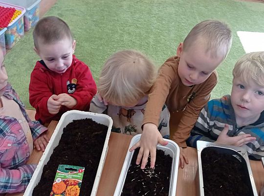 Gr. I Wiosenne przygody