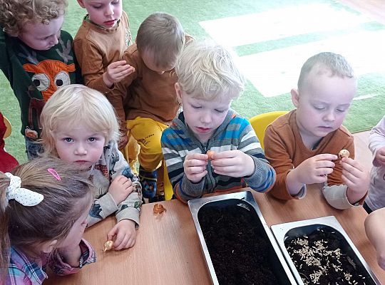 Gr. I Wiosenne przygody