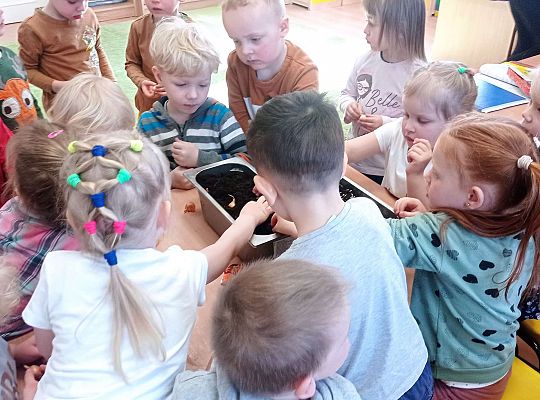 Gr. I Wiosenne przygody