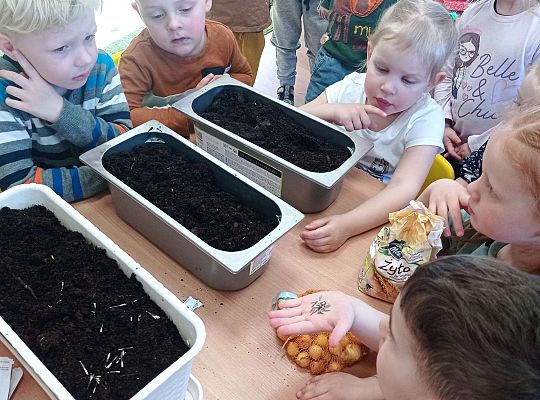 Gr. I Wiosenne przygody