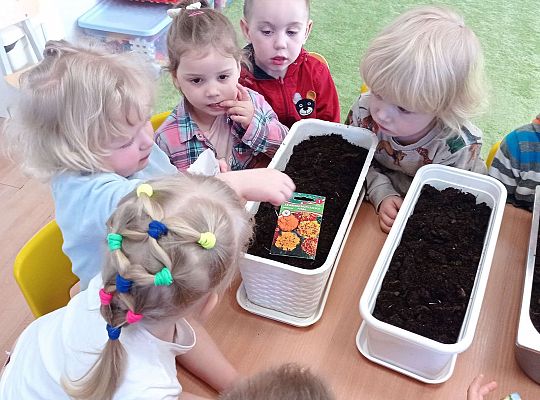 Gr. I Wiosenne przygody