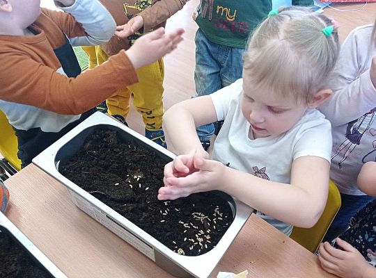 Gr. I Wiosenne przygody