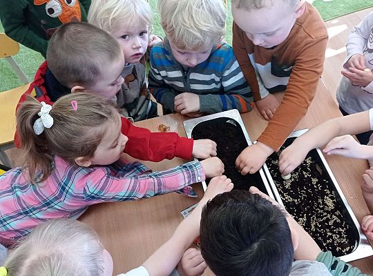 Gr. I Wiosenne przygody