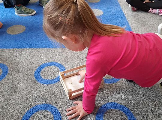 Gr. III "Przyjaciele Zippiego"- Czego możemy nauczyć się w sytuacji straty i zmiany