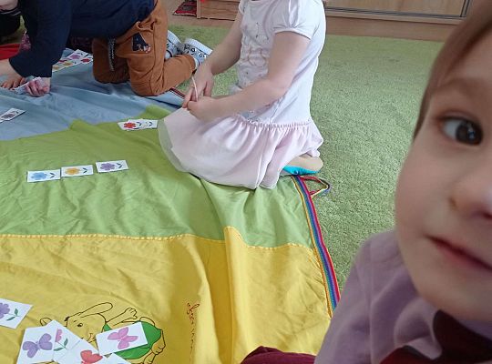 Gr.I Pogoda w kratkę