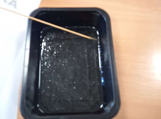 Gr. IV - Wizyta w szkole