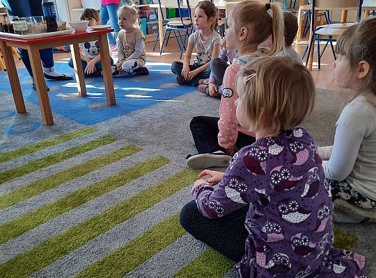 Gr. III Jajko czy kura? - Eksperymenty z jajkiem