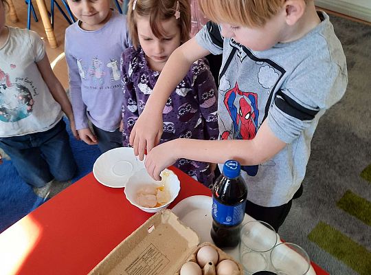 Gr. III Jajko czy kura? - Eksperymenty z jajkiem