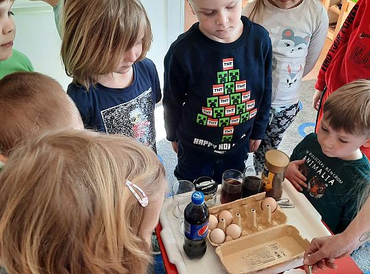 Gr. III Jajko czy kura? - Eksperymenty z jajkiem