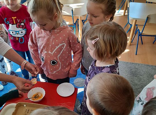 Gr. III Jajko czy kura? - Eksperymenty z jajkiem