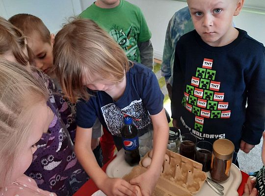 Gr. III Jajko czy kura? - Eksperymenty z jajkiem