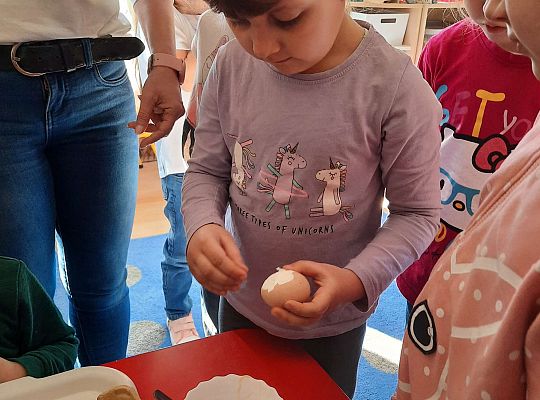 Gr. III Jajko czy kura? - Eksperymenty z jajkiem